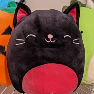 BNwt Catarina cat squishmallow 8"